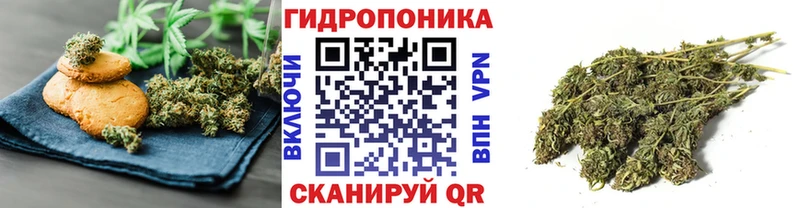 Купить закладки  Луза  Печенье с ТГК марихуана 