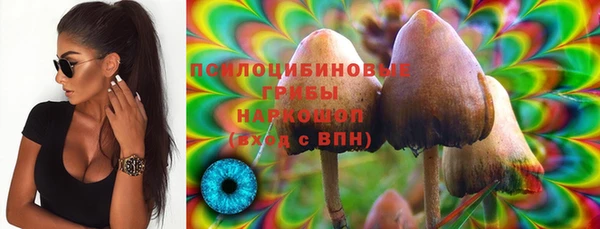 бошки Лагань