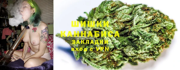 бошки Лагань