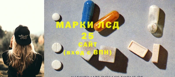 прущие грибы Яровое