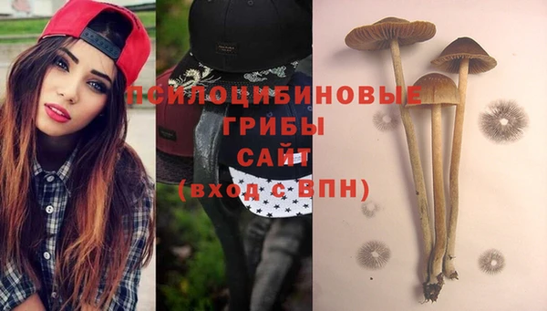 apvp Яранск