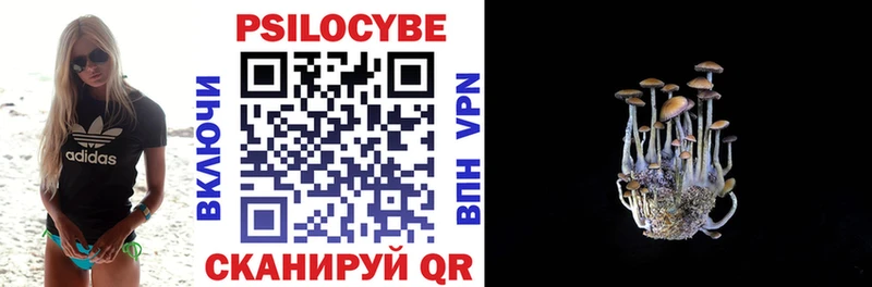 Псилоцибиновые грибы Cubensis  Купить  Луза 